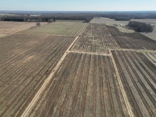 Property photo 12 - LAND AUCTION - 77+/-ACRES OFFERED IN 2 TRACTS IN BERRIEN COUNTY, MICHIGAN