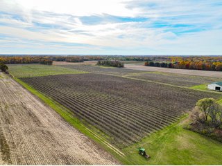 Property photo 16 - LAND AUCTION - 77+/-ACRES OFFERED IN 2 TRACTS IN BERRIEN COUNTY, MICHIGAN