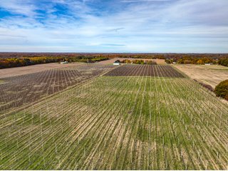 Property photo 17 - LAND AUCTION - 77+/-ACRES OFFERED IN 2 TRACTS IN BERRIEN COUNTY, MICHIGAN