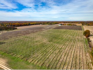 Property photo 18 - LAND AUCTION - 77+/-ACRES OFFERED IN 2 TRACTS IN BERRIEN COUNTY, MICHIGAN