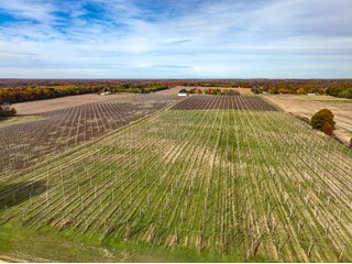 Property photo 19 - LAND AUCTION - 77+/-ACRES OFFERED IN 2 TRACTS IN BERRIEN COUNTY, MICHIGAN