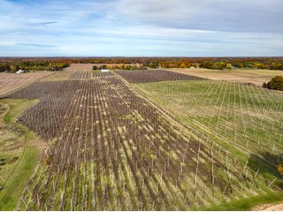 Property photo 20 - LAND AUCTION - 77+/-ACRES OFFERED IN 2 TRACTS IN BERRIEN COUNTY, MICHIGAN