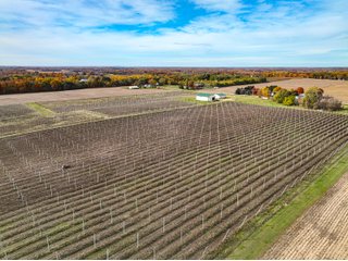 Property photo 21 - LAND AUCTION - 77+/-ACRES OFFERED IN 2 TRACTS IN BERRIEN COUNTY, MICHIGAN