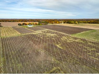 Property photo 13 - LAND AUCTION - 77+/-ACRES OFFERED IN 2 TRACTS IN BERRIEN COUNTY, MICHIGAN