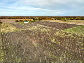 Property photo 14 - LAND AUCTION - 77+/-ACRES OFFERED IN 2 TRACTS IN BERRIEN COUNTY, MICHIGAN