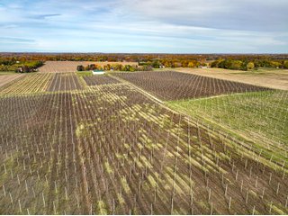 Property photo 15 - LAND AUCTION - 77+/-ACRES OFFERED IN 2 TRACTS IN BERRIEN COUNTY, MICHIGAN
