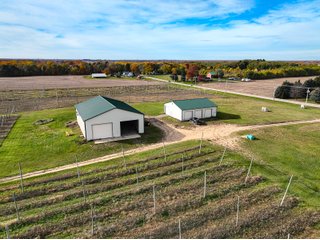 Property photo 22 - LAND AUCTION - 77+/-ACRES OFFERED IN 2 TRACTS IN BERRIEN COUNTY, MICHIGAN
