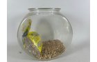 Property photo 354 - TIMED ONLINE ONLY PERSONAL PROPERTY AUCTION IN ALLEN COUNTY, INDIANA