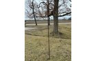 Property photo 394 - TIMED ONLINE ONLY PERSONAL PROPERTY AUCTION IN ALLEN COUNTY, INDIANA