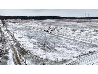 Property photo 16 - FARMLAND AUCTION - 181+/- ACRES OFFERED IN 3 TRACTS IN FULTON COUNTY, INDIANA