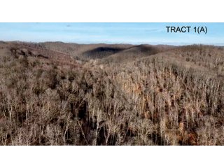 Property photo 2 - PREMIER RECREATIONAL LAND AUCTION - 249.37+/-ACRES OFFERED IN 4 TRACTS IN PIKE COUNTY, OHIO