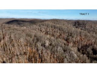 Property photo 1 - PREMIER RECREATIONAL LAND AUCTION - 249.37+/-ACRES OFFERED IN 4 TRACTS IN PIKE COUNTY, OHIO