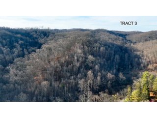 Property photo 7 - PREMIER RECREATIONAL LAND AUCTION - 249.37+/-ACRES OFFERED IN 4 TRACTS IN PIKE COUNTY, OHIO