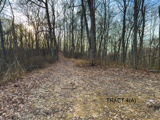 Property photo 10 - PREMIER RECREATIONAL LAND AUCTION - 249.37+/-ACRES OFFERED IN 4 TRACTS IN PIKE COUNTY, OHIO