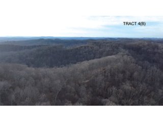 Property photo 8 - PREMIER RECREATIONAL LAND AUCTION - 249.37+/-ACRES OFFERED IN 4 TRACTS IN PIKE COUNTY, OHIO