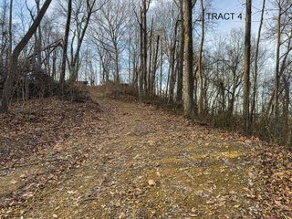 Property photo 9 - PREMIER RECREATIONAL LAND AUCTION - 249.37+/-ACRES OFFERED IN 4 TRACTS IN PIKE COUNTY, OHIO