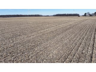 Property photo 10 - LAND AUCTION - 157.8+/- ACRES OFFERED IN 3 TRACTS IN RANDOLPH COUNTY, INDIANA
