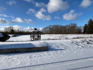 Property photo 5 - REAL ESTATE AUCTION - 19.57+/-ACRES OFFERED IN 2 TRACTS IN NOBLE COUNTY, INDIANA