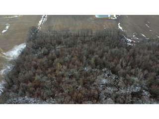 Property photo 18 - REAL ESTATE AUCTION - 169+/-ACRES OFFERED IN 13 TRACTS IN ALLEN COUNTY, INDIANA