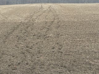 Property photo 98 - REAL ESTATE AUCTION - 169+/-ACRES OFFERED IN 13 TRACTS IN ALLEN COUNTY, INDIANA