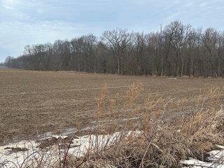 Property photo 101 - REAL ESTATE AUCTION - 169+/-ACRES OFFERED IN 13 TRACTS IN ALLEN COUNTY, INDIANA