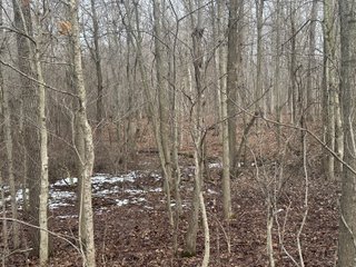 Property photo 100 - REAL ESTATE AUCTION - 169+/-ACRES OFFERED IN 13 TRACTS IN ALLEN COUNTY, INDIANA