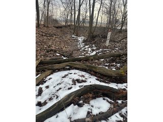 Property photo 103 - REAL ESTATE AUCTION - 169+/-ACRES OFFERED IN 13 TRACTS IN ALLEN COUNTY, INDIANA