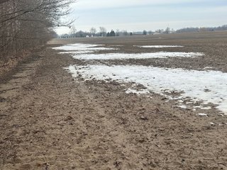 Property photo 110 - REAL ESTATE AUCTION - 169+/-ACRES OFFERED IN 13 TRACTS IN ALLEN COUNTY, INDIANA