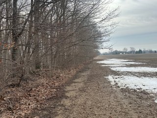 Property photo 111 - REAL ESTATE AUCTION - 169+/-ACRES OFFERED IN 13 TRACTS IN ALLEN COUNTY, INDIANA