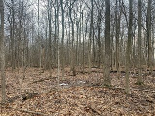 Property photo 112 - REAL ESTATE AUCTION - 169+/-ACRES OFFERED IN 13 TRACTS IN ALLEN COUNTY, INDIANA