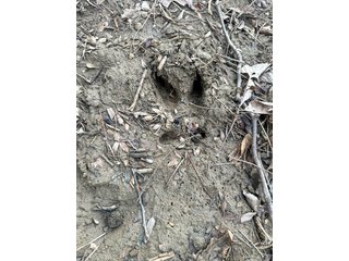 Property photo 114 - REAL ESTATE AUCTION - 169+/-ACRES OFFERED IN 13 TRACTS IN ALLEN COUNTY, INDIANA