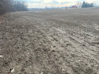 Property photo 119 - REAL ESTATE AUCTION - 169+/-ACRES OFFERED IN 13 TRACTS IN ALLEN COUNTY, INDIANA
