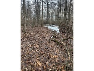 Property photo 123 - REAL ESTATE AUCTION - 169+/-ACRES OFFERED IN 13 TRACTS IN ALLEN COUNTY, INDIANA
