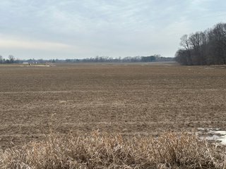 Property photo 124 - REAL ESTATE AUCTION - 169+/-ACRES OFFERED IN 13 TRACTS IN ALLEN COUNTY, INDIANA