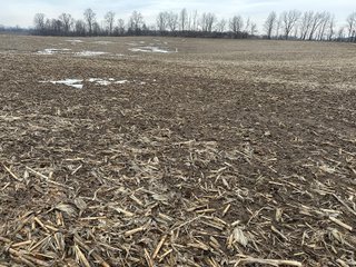 Property photo 134 - REAL ESTATE AUCTION - 169+/-ACRES OFFERED IN 13 TRACTS IN ALLEN COUNTY, INDIANA