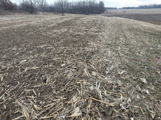 Property photo 135 - REAL ESTATE AUCTION - 169+/-ACRES OFFERED IN 13 TRACTS IN ALLEN COUNTY, INDIANA