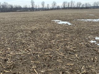 Property photo 138 - REAL ESTATE AUCTION - 169+/-ACRES OFFERED IN 13 TRACTS IN ALLEN COUNTY, INDIANA