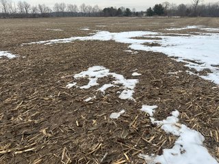Property photo 139 - REAL ESTATE AUCTION - 169+/-ACRES OFFERED IN 13 TRACTS IN ALLEN COUNTY, INDIANA