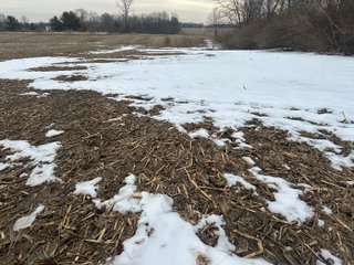 Property photo 140 - REAL ESTATE AUCTION - 169+/-ACRES OFFERED IN 13 TRACTS IN ALLEN COUNTY, INDIANA