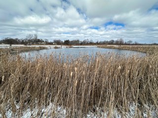 Property photo 69 - REAL ESTATE AUCTION - 169+/-ACRES OFFERED IN 13 TRACTS IN ALLEN COUNTY, INDIANA