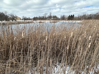 Property photo 71 - REAL ESTATE AUCTION - 169+/-ACRES OFFERED IN 13 TRACTS IN ALLEN COUNTY, INDIANA