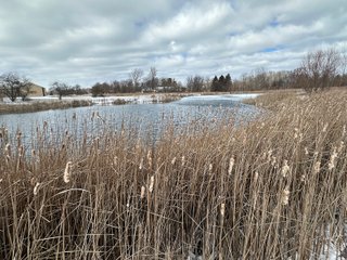 Property photo 72 - REAL ESTATE AUCTION - 169+/-ACRES OFFERED IN 13 TRACTS IN ALLEN COUNTY, INDIANA