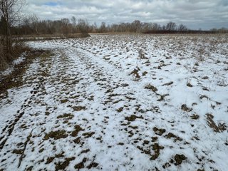 Property photo 73 - REAL ESTATE AUCTION - 169+/-ACRES OFFERED IN 13 TRACTS IN ALLEN COUNTY, INDIANA