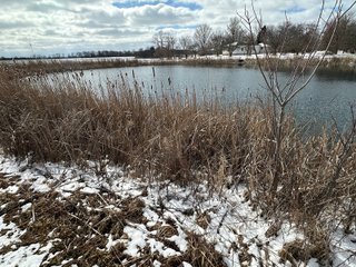 Property photo 74 - REAL ESTATE AUCTION - 169+/-ACRES OFFERED IN 13 TRACTS IN ALLEN COUNTY, INDIANA