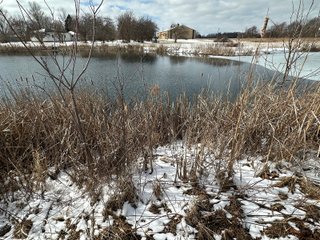 Property photo 75 - REAL ESTATE AUCTION - 169+/-ACRES OFFERED IN 13 TRACTS IN ALLEN COUNTY, INDIANA