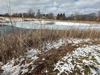Property photo 76 - REAL ESTATE AUCTION - 169+/-ACRES OFFERED IN 13 TRACTS IN ALLEN COUNTY, INDIANA