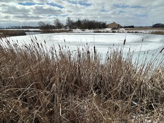 Property photo 77 - REAL ESTATE AUCTION - 169+/-ACRES OFFERED IN 13 TRACTS IN ALLEN COUNTY, INDIANA