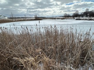 Property photo 78 - REAL ESTATE AUCTION - 169+/-ACRES OFFERED IN 13 TRACTS IN ALLEN COUNTY, INDIANA