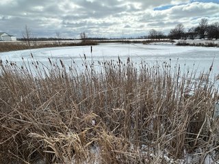 Property photo 79 - REAL ESTATE AUCTION - 169+/-ACRES OFFERED IN 13 TRACTS IN ALLEN COUNTY, INDIANA