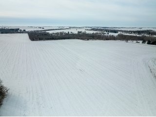 Property photo 11 - FARMLAND AUCTION - 115+/- ACRES OFFERED IN 3 TRACTS IN MACON COUNTY, ILLINOIS